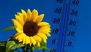 Canicule : un impact sanitaire limité