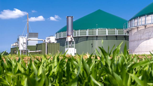 Le gaz vert, un vrai rôle à jouer dans la transition énergétique