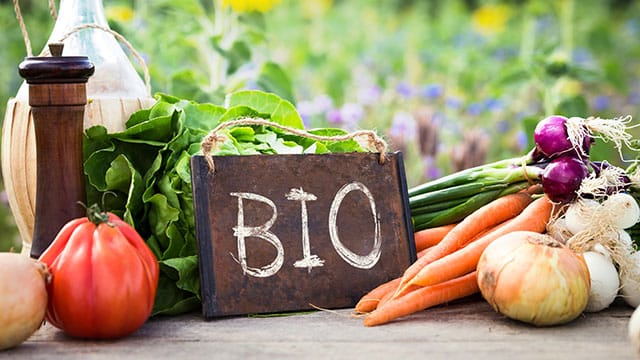 Manger bio à la cantine, un choix politique pour des maires de terrain
