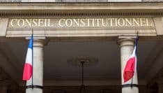 La constitutionnalité de la loi du 23 mars 2020