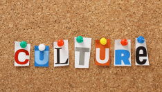 Les choix culturels des collectivités territoriales en 2023