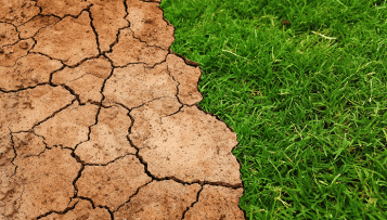 Les bâtiments de l'État, un "angle mort" de l'adaptation au changement climatique selon la Cour des comptes