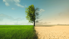 Mobilisation de la commande publique contre les conséquences du réchauffement climatique